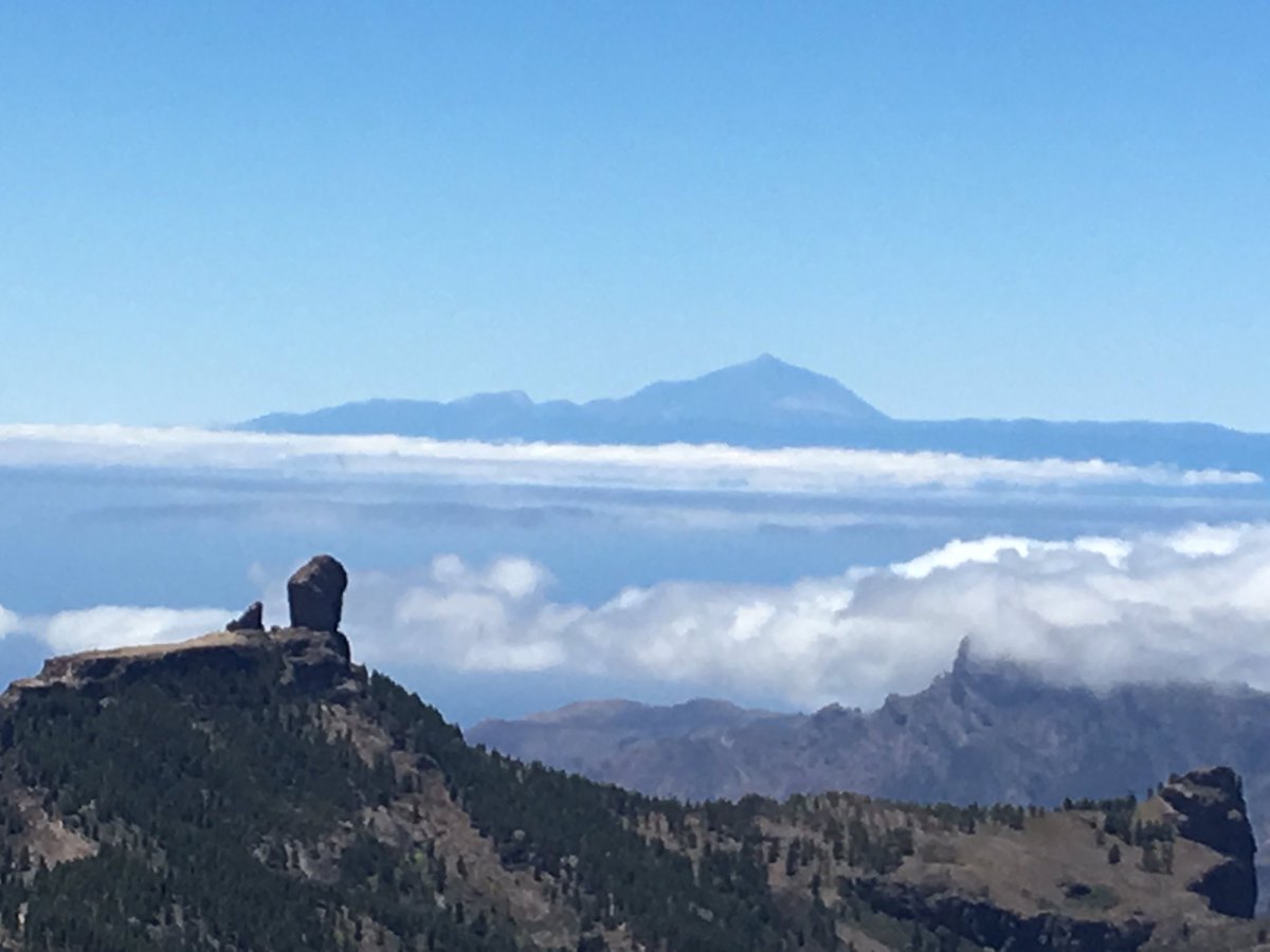 williamverhees's tweet photo. #GranCanaria #PlayaDelIngles #RiuPapayas 🌞😎🏖🏝 https://t.co/3UXhcCIh3a