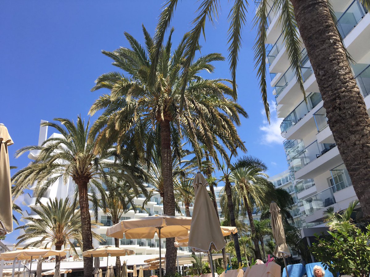 williamverhees's tweet photo. #GranCanaria #PlayaDelIngles #RiuPapayas 🌞😎🏖🏝 https://t.co/3UXhcCIh3a