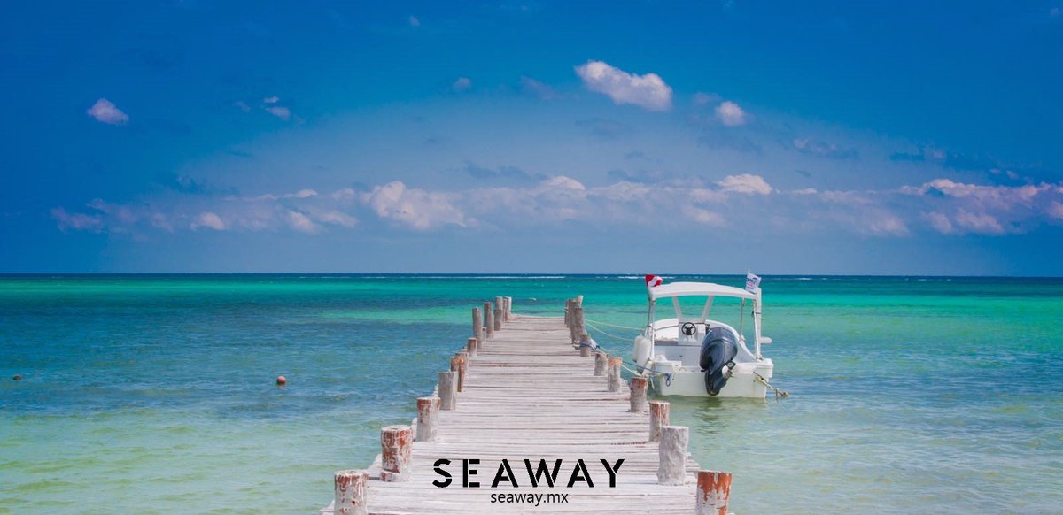 Seawaycondorent's tweet photo. @Seawaycondorent rent easy, live free!
seaway.mx https://t.co/GMSoXubscH
