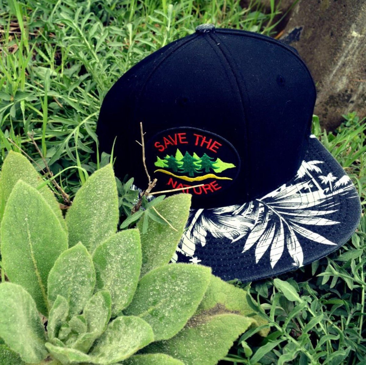 BlueJaySkate's tweet photo. #Pride2017 #ThursdayThoughts #OSDForum #1M #MAYAR #FollowTrick #followme #followyouback #teamfollowback #FF #snapback #snapbacks #outfit https://t.co/vHHa984ONA