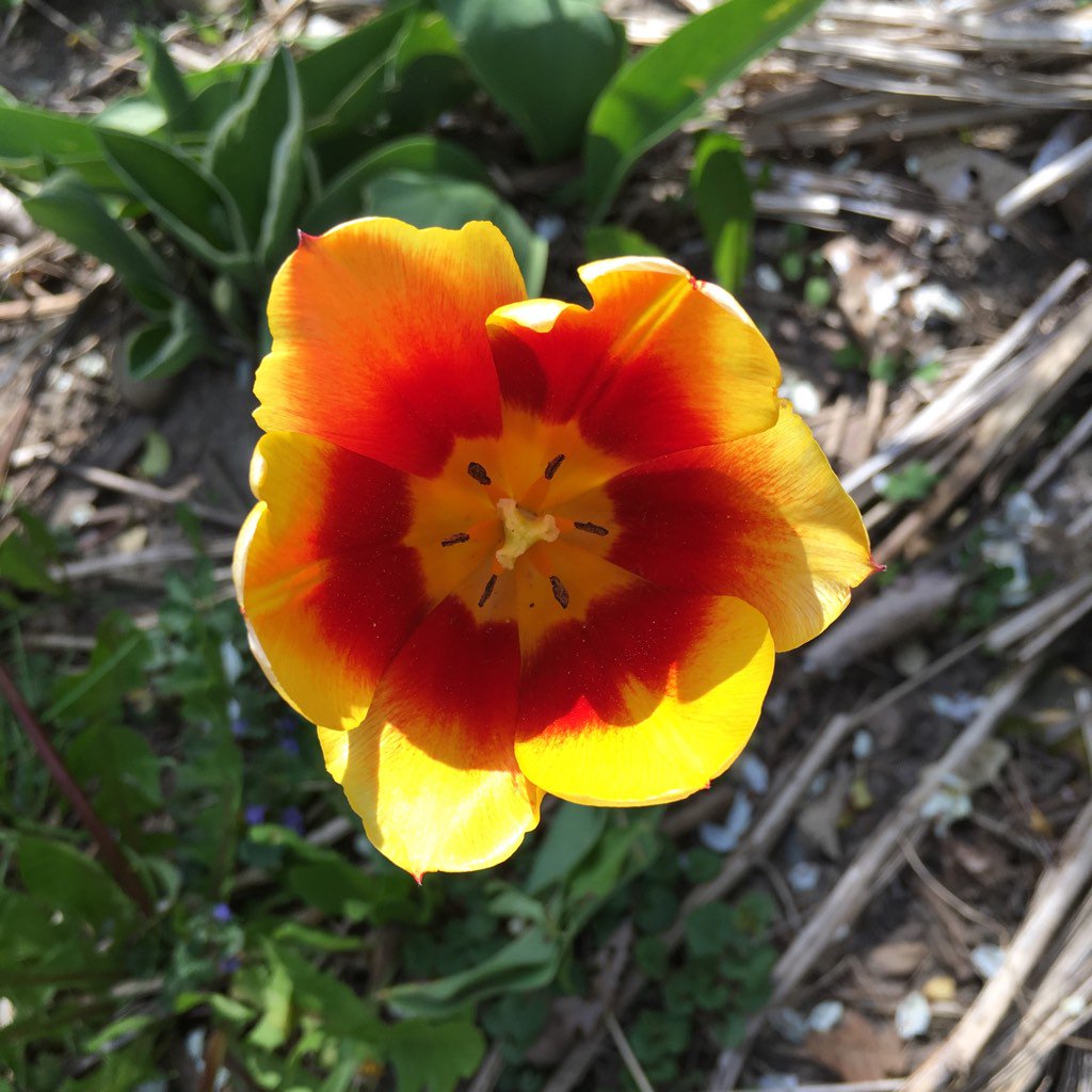 Stoneboard's tweet image. Some stuff &amp;amp; things ... 
instagram.com/jt_potts/ 
#design #goodvibesonly #agencylife