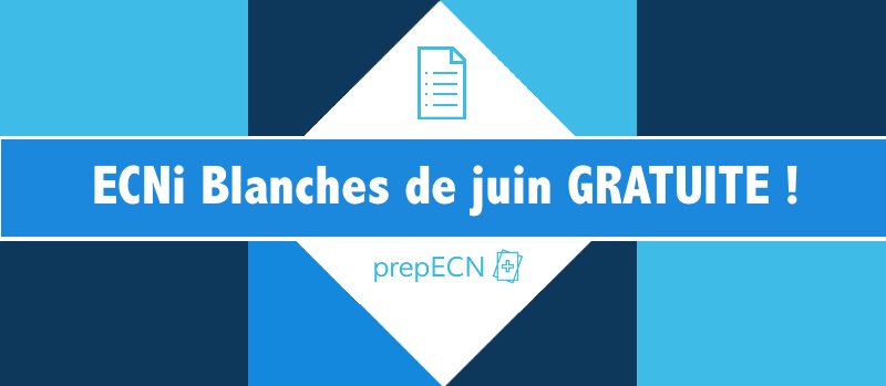 ipocrate's tweet image. Dernière ligne droite avant les ECNi. Entraînez-vous gratuitement sur prepECN ! #majorpromo2017 ow.ly/nzWp30cebNl