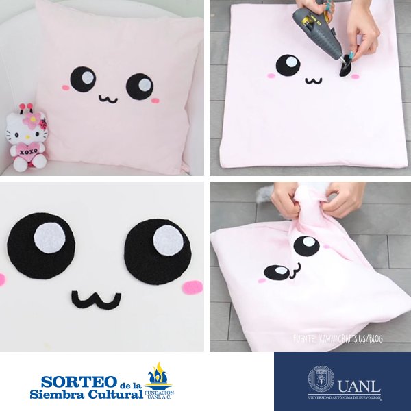Sorteo_UANL's tweet photo. Dale un toque especial a tus cojines y a tu decoración. https://t.co/dMe8ByKPQZ