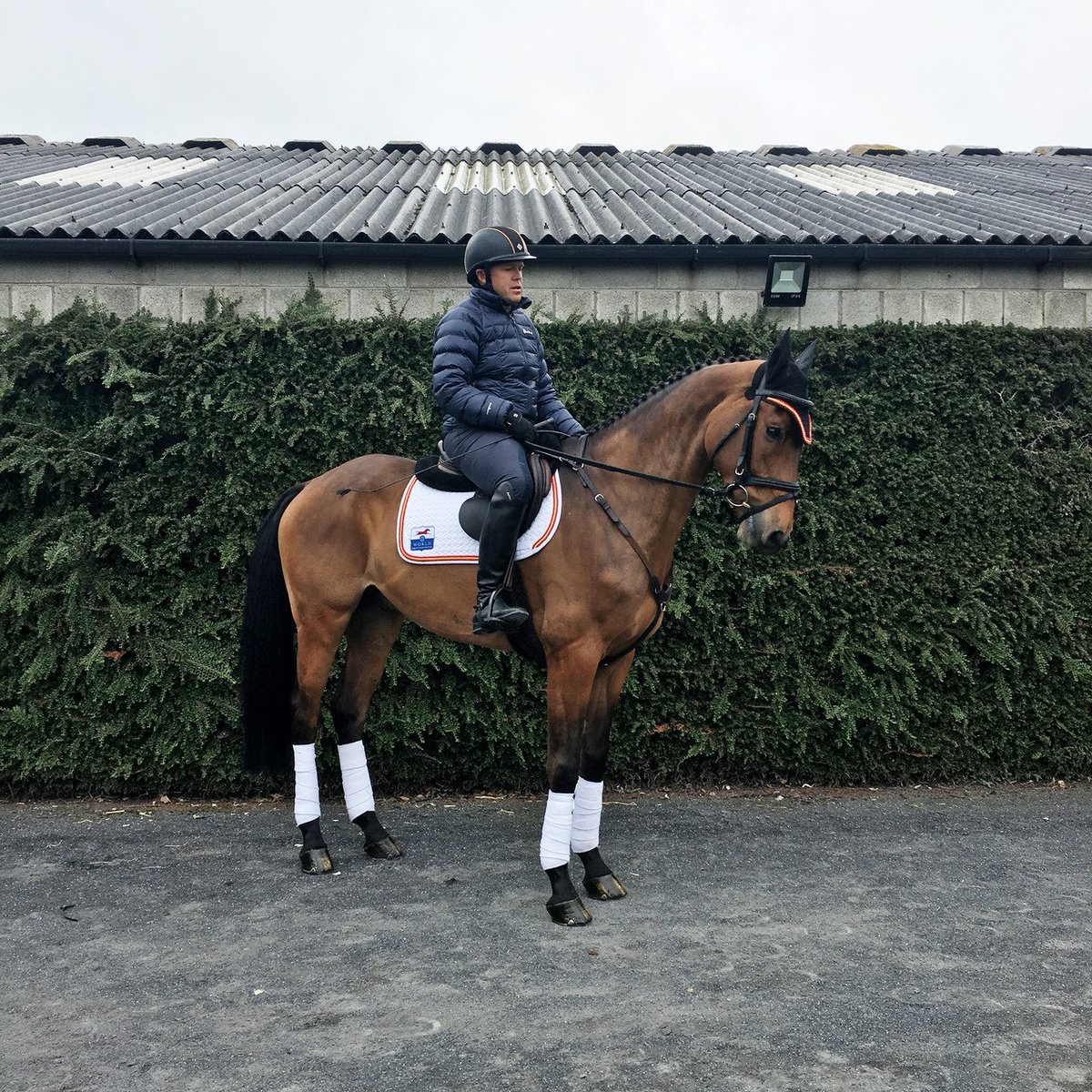 BDJEventing's tweet photo. Buck on his pre-ride with Carlevo at Tattersalls today. Certainly paid off as they are sitting in third place in the CCI3* ... #TeamBDJ #USA https://t.co/sufvUFhmUa