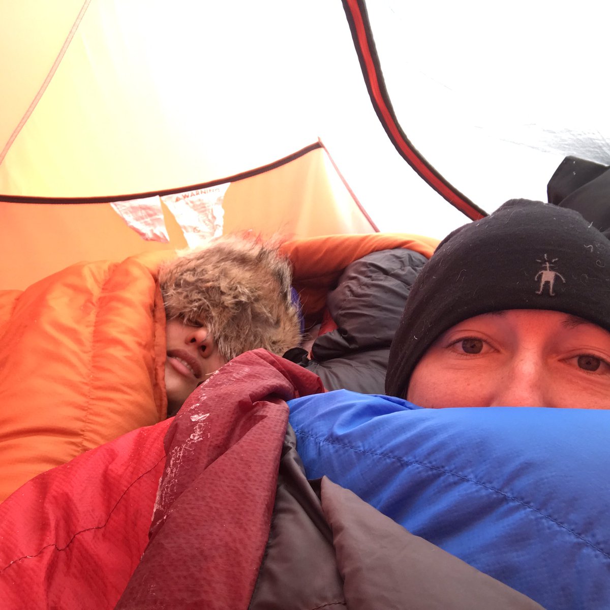 TashaMSnow's tweet photo. Early morning wake up with breath frozen on sleeping bag, -37C temperatures overnight at KAN-U site, #Greenland Ice Sheet https://t.co/0AIMVODTh6