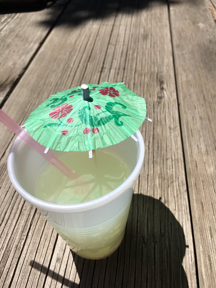 Ris_Brown's tweet photo. Such a fun (and educational) event! @GoodmanSchool @BioLinc @BrockUniversity #GoodmanLemonade https://t.co/XNrqRovRP3