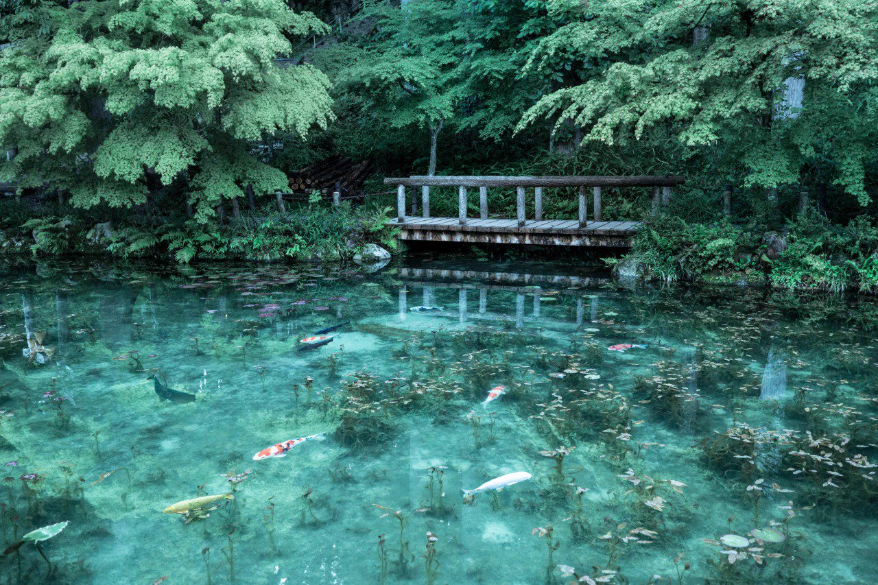 思わず息を呑むほどの美しさ！岐阜県のモネの池が綺麗すぎて吸い込まれそうww