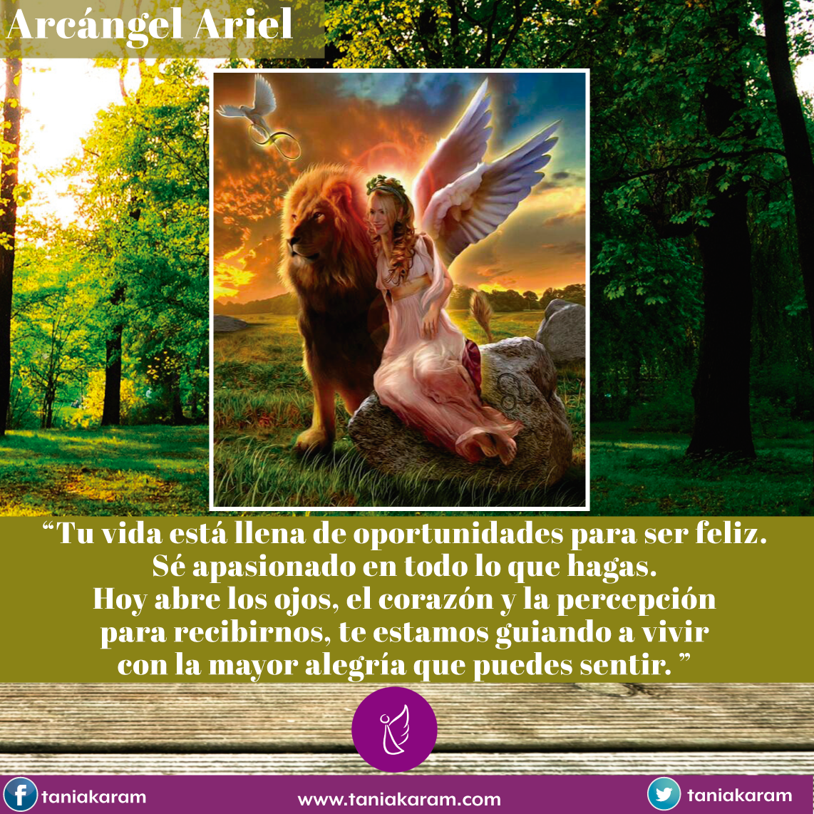 taniakaram's tweet photo. ⭐¡Buenos, bonitos y angelicales días!⭐ 
 Feliz Inicio de mes, recuerda que tu vida está llena de oportunidades para ser feliz. #FelizJueves https://t.co/7ZOJOJk6Ux