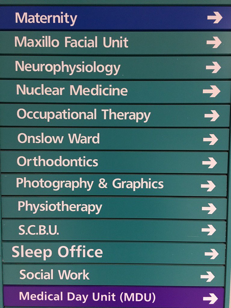 At last, after years of searching, I have found my ideal workplace.