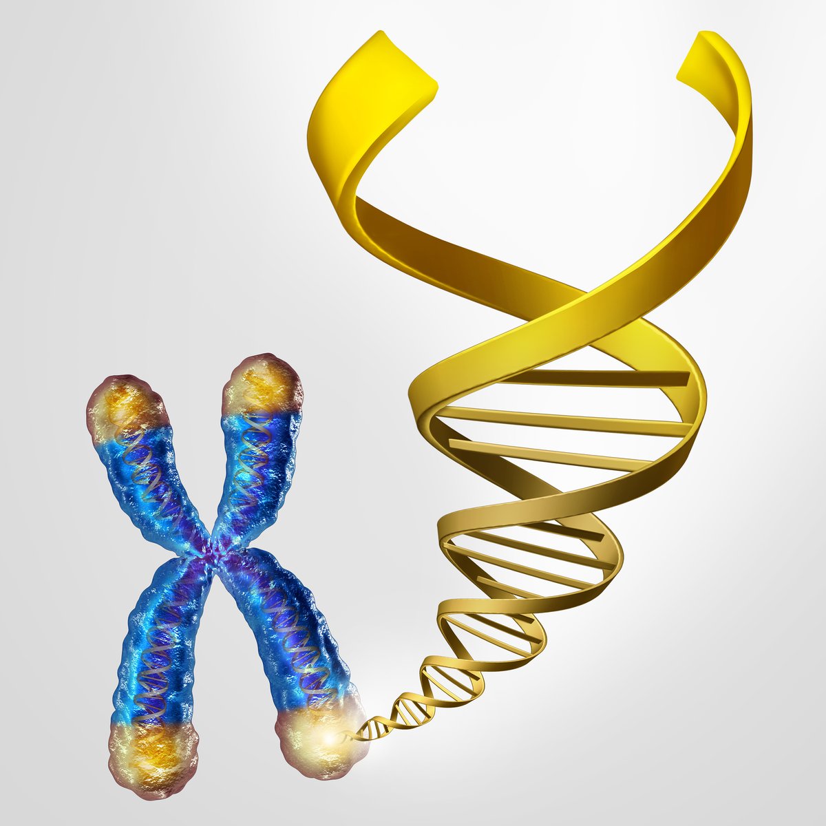 CDCgov's tweet photo. What is fragile X syndrome? New research just published in Pediatrics will share the latest on #FXS: https://t.co/wR154jk8us https://t.co/9UUaSCub9d
