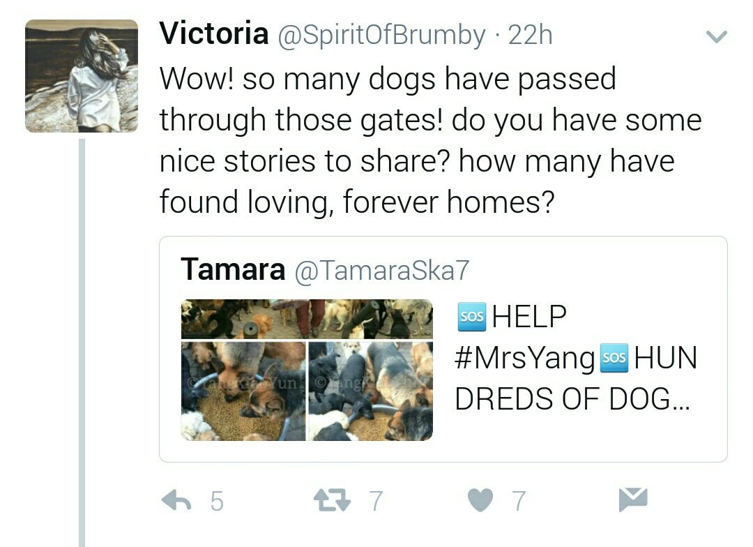 TamaraSka7's tweet photo. HERE #JuliaDeCadenet THIEF OF
#NTDM MAFIA
❗GIVE THE MONEY TO #MrsYang❗
❗GIVE THE MONEY TO #MrsYang❗
❗GIVE THE MONEY TO #MrsYang❗
#OpMrsYang https://t.co/sOGCHa30qu