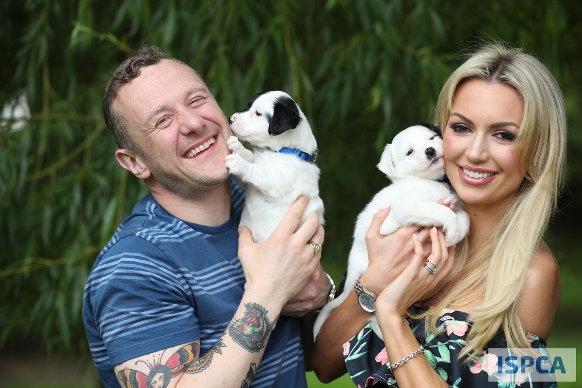 Spayaware's tweet photo. @ISPCA1 launch #SpayAware campaign urging pet owners to #Spay #Neuter their pets.  Huge thanks @petethevet @pjgallagher &amp; @rosanna_davison https://t.co/sTGpA9kMn9