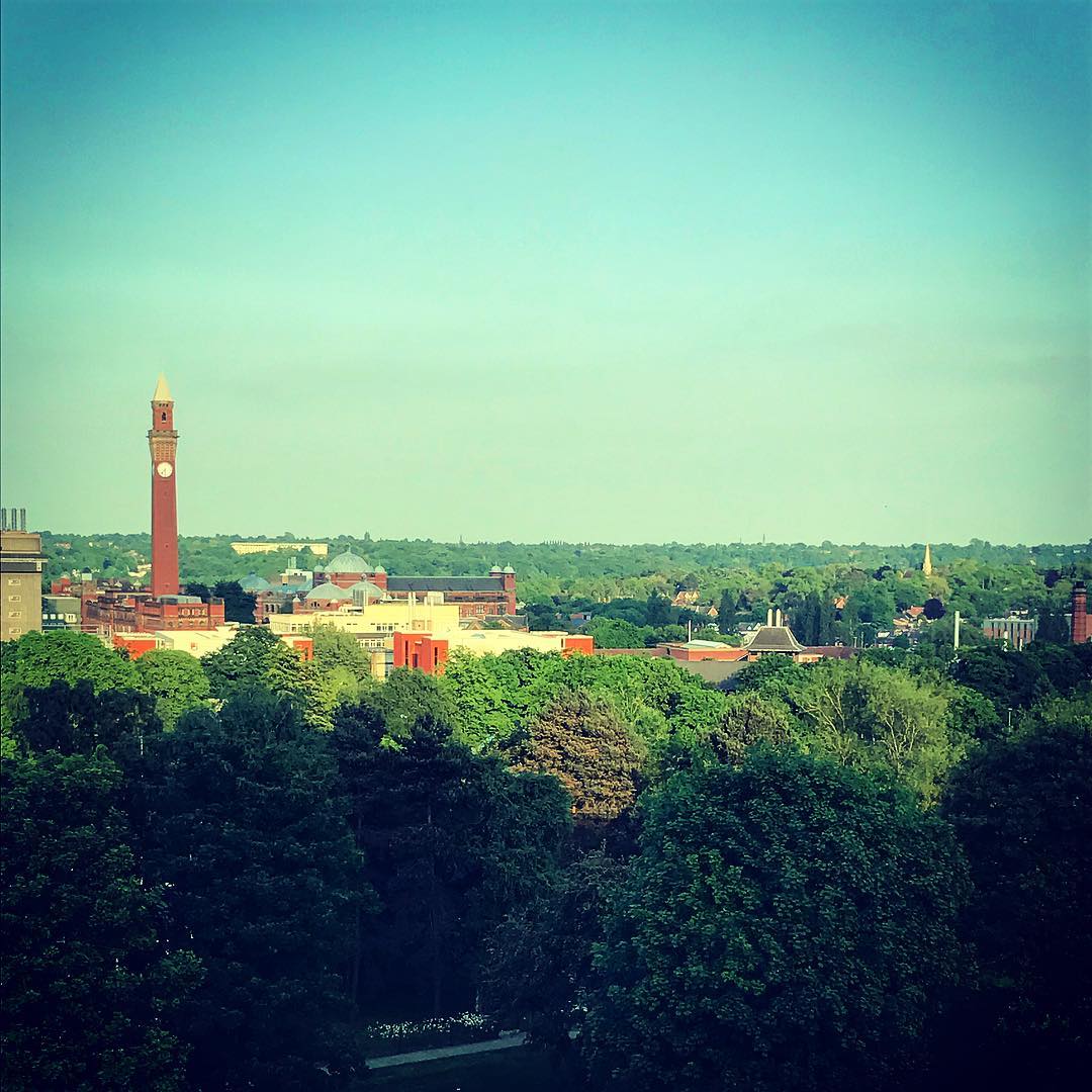 oldjoeclock's tweet photo. Am I allowed to say how fabulous I look in this photo amongst all the greenery? https://t.co/3ASr1bL2h4 #hellobrum https://t.co/IWeXtc1aJQ