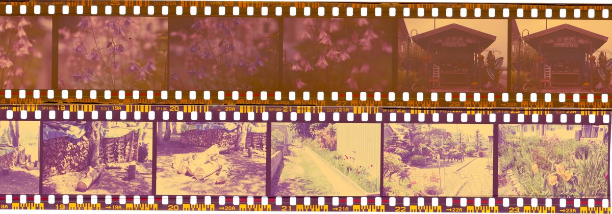 Threepinner در توییتر ネガポジ法 フジ製35mm記録用フィルム06年期限切れ Iso100 0で露光 第一現像パピトール ロダンカリ0 6g 500ml 37 5分 第２現像はc41標準液 上段が今回の条件でこれで完成 下はロダンカリ1 2g 500ml 37 8分 ベース色を補正したのが右