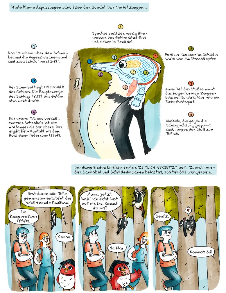 Comic: Veronika Mischitz / Helmholtz-Gemeinschaft, CC-BY-ND 4.0