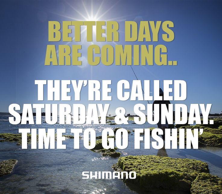 Reel_It_Up's tweet photo. Three words. Let's go fishing! #ReelItUp #fishing https://t.co/Oac4BIswwc