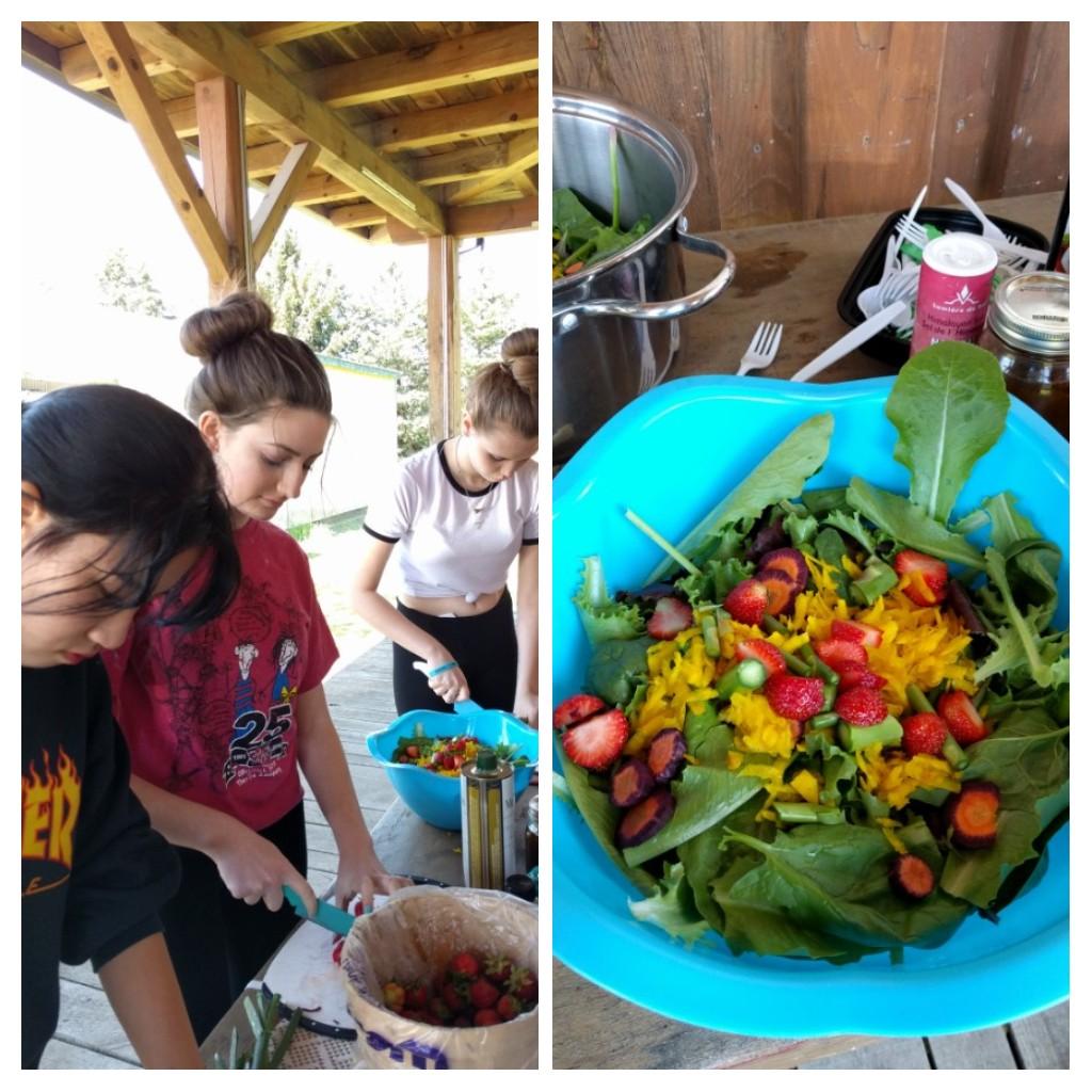 EcosourceGreen's tweet photo. Field fresh salad making with students at Sunnivue Farm! Grow. Cook. Eat. #fromourvalley @TVDSB https://t.co/hcKvh0kFsy