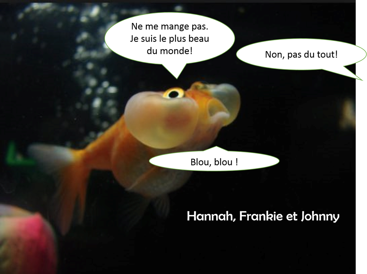 Voici nos  #pixeltag pour aujourd'hui. Nous avons bien travaillé en équipe (sauf pour Mme Nathalie). 1/2