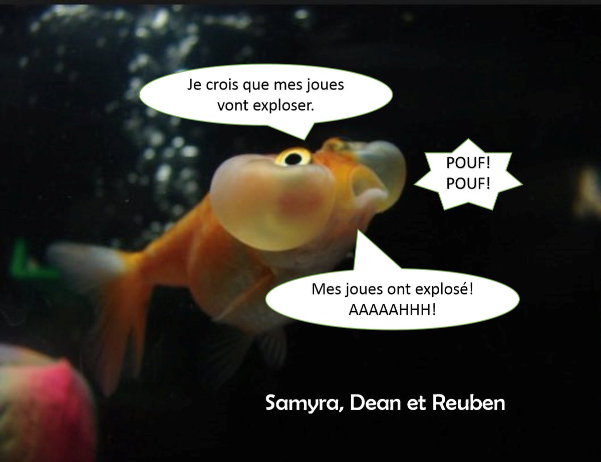 #pixeltag 2/2  BRAVO les amis. Vous pouvez jouer à la maison si vous avez un compte Twitter. Essayez avec papa et maman.