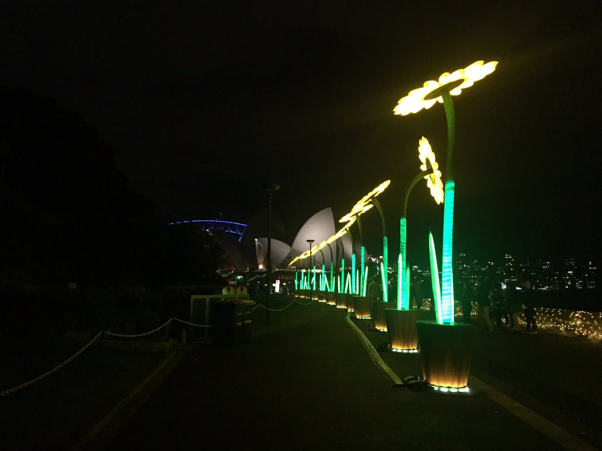 birdswithnests's tweet photo. Festival of light💡music🎼 and ideas🔃. @VividSydney #eliminatefearoftraveling #vividsydney #sydney #australia #solotraveler #bacpacker https://t.co/Yri2XciI08