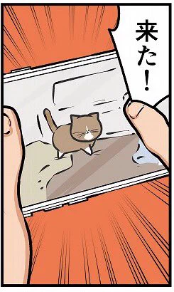 オムロンの見守りカメラセンサ「家族目線」を使った感想漫画を描きました。
https://t.co/CHjoHHMCgv 