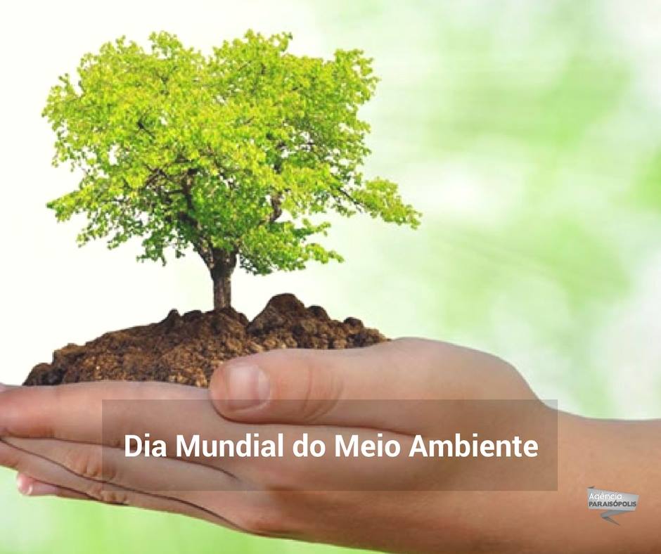 A Semana Nacional do Meio Ambiente começa em 1 de junho e vai até 5 de junho, quando se celebra o Dia Mundial do Meio Ambiente.