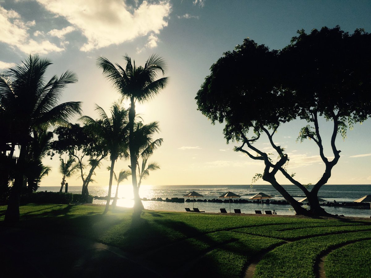 Two weeks in tropical Mauritius and it's time to get back to work. Next stop, a new website for Good Spa Guide!
