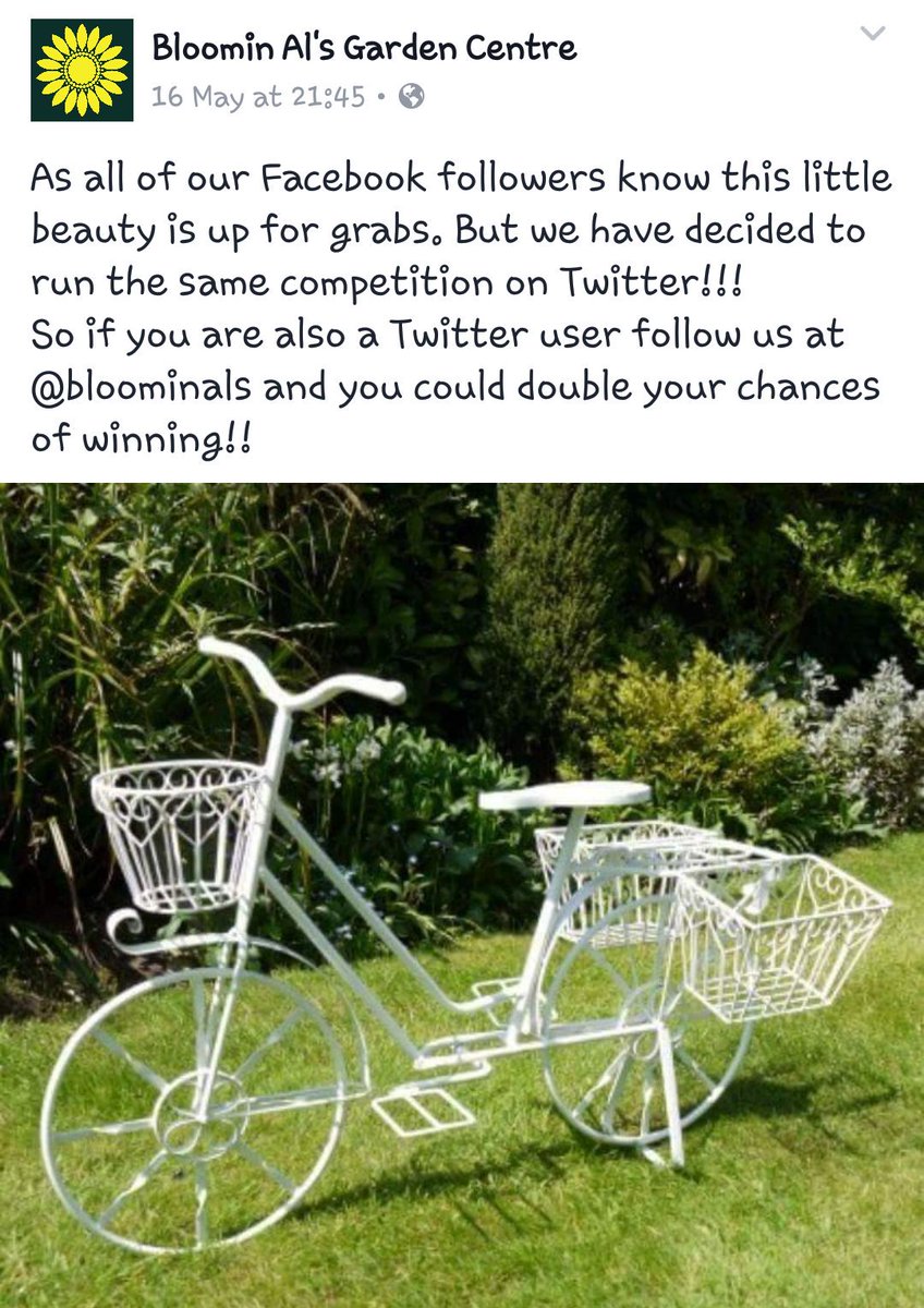 Bloomin Al's tweet media