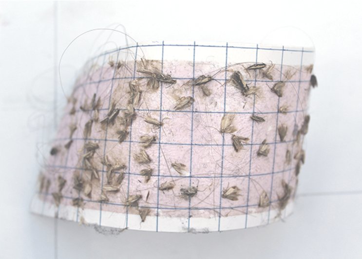 KingsgatePS's tweet photo. Excited to c Victoria Adam has a solo show: the common toad at #TemporaryGallery Cologne https://t.co/BiYMxWspx2 it's on until July 30 2017! https://t.co/WHIaEepYxl