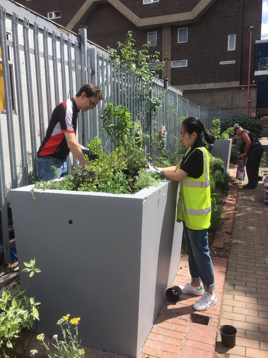 Lovely afternoon gardening with volunteers at the Barrier Garden in Brixton yesterday. Read all about it here: brixtonblog.com/brixtons-green…
