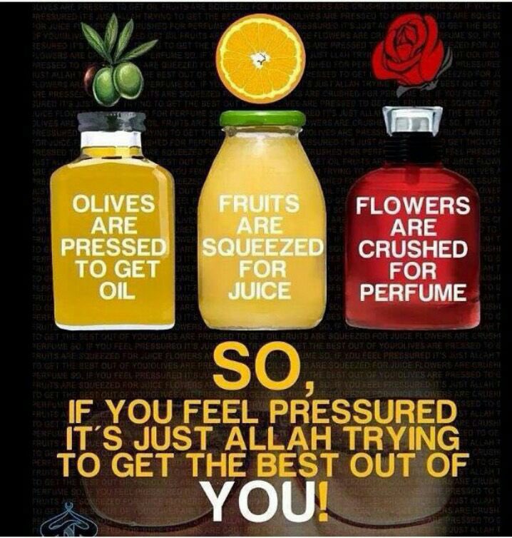 SisterFitTO's tweet photo. #juicing #remeberingAllah #striving #lifetests #trials&tribulations #beingyourbestself #positivity #makethebestofit #islamicquotes https://t.co/IZVluPDVmV