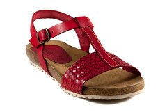Zapateria pisotones sale