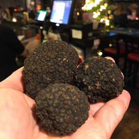 DP_BISTRO's tweet photo. Black Truffle Mushroom ditangan @MaximusOrdega diubah menjadi menu super enak dan sehat #beVegan #VVIP_Classy https://t.co/FLViBxEAmc