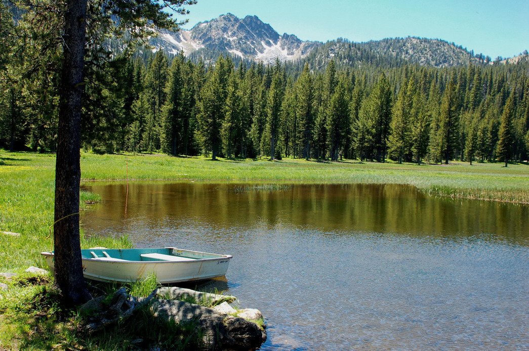 forestservice tweet picture