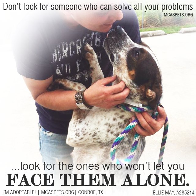 MCASPets's tweet photo. A little life advice from our furry friends ❤ #FureverLove #OptToAdopt https://t.co/FiZRrL06ij https://t.co/10CMIMBDOS