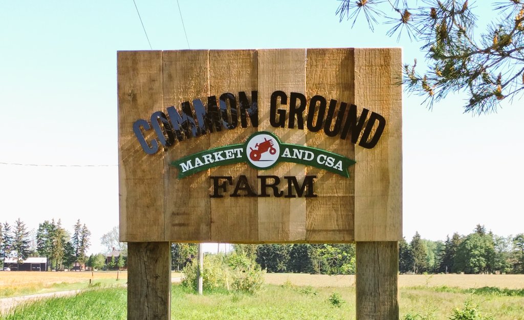 EcosourceGreen's tweet photo. Counting down to Local Food Week @commongrndfarm with #LdnOnt students @TVDSB #fromourvalley #loveONTfood https://t.co/u7bQ26ZxuL
