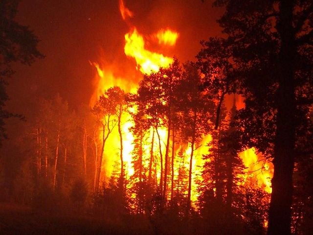 yaya_yelitza's tweet photo. @SBoddePMHS #LOTF12 Savage boys burn down island to kill a odd child, gone wrong. #LOTFClickbait https://t.co/u7CQhKvjBf
