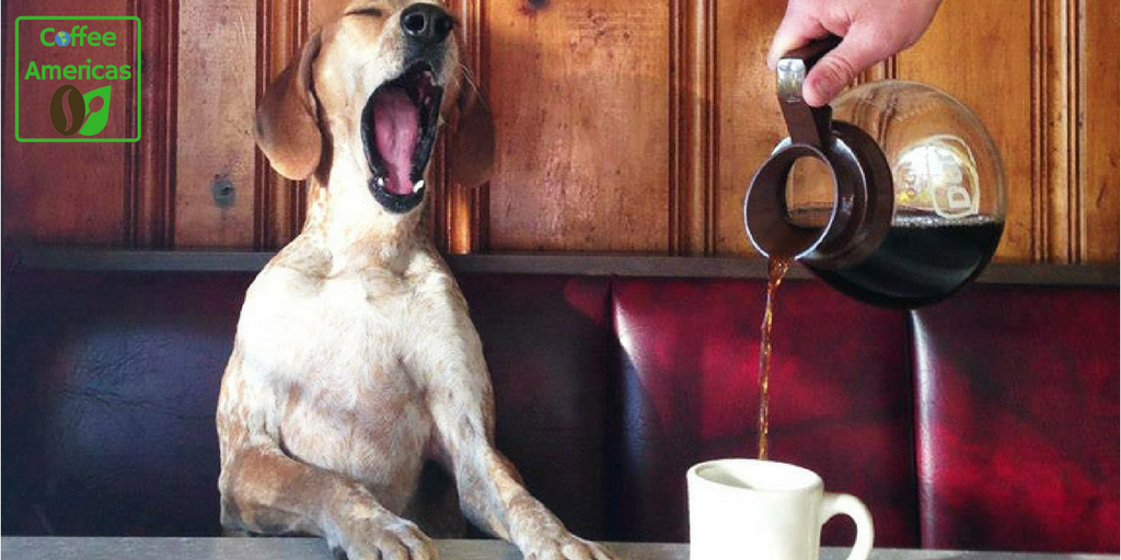 Coffee_Americas's tweet photo. A yawn is just a silent scream of your body craving #coffee!
#CoffeeAmericas https://t.co/Q0xcCkwV0m