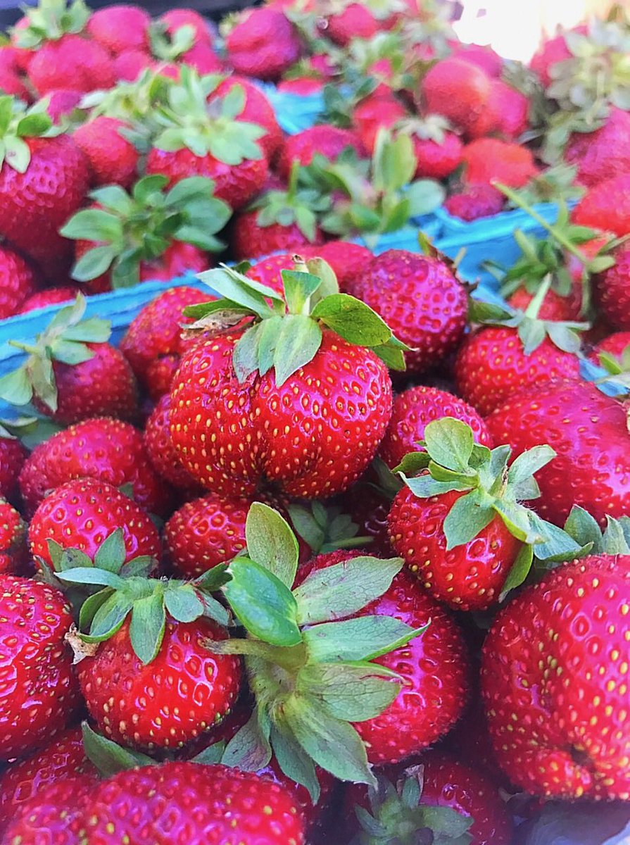 eku's tweet photo. Come out and support your local farmers at the Campus Farmer's Market in Alumni Coliseum parking lot till 1 o'clock #HealthyEKU #ShopLocal https://t.co/yjdADKYbHb