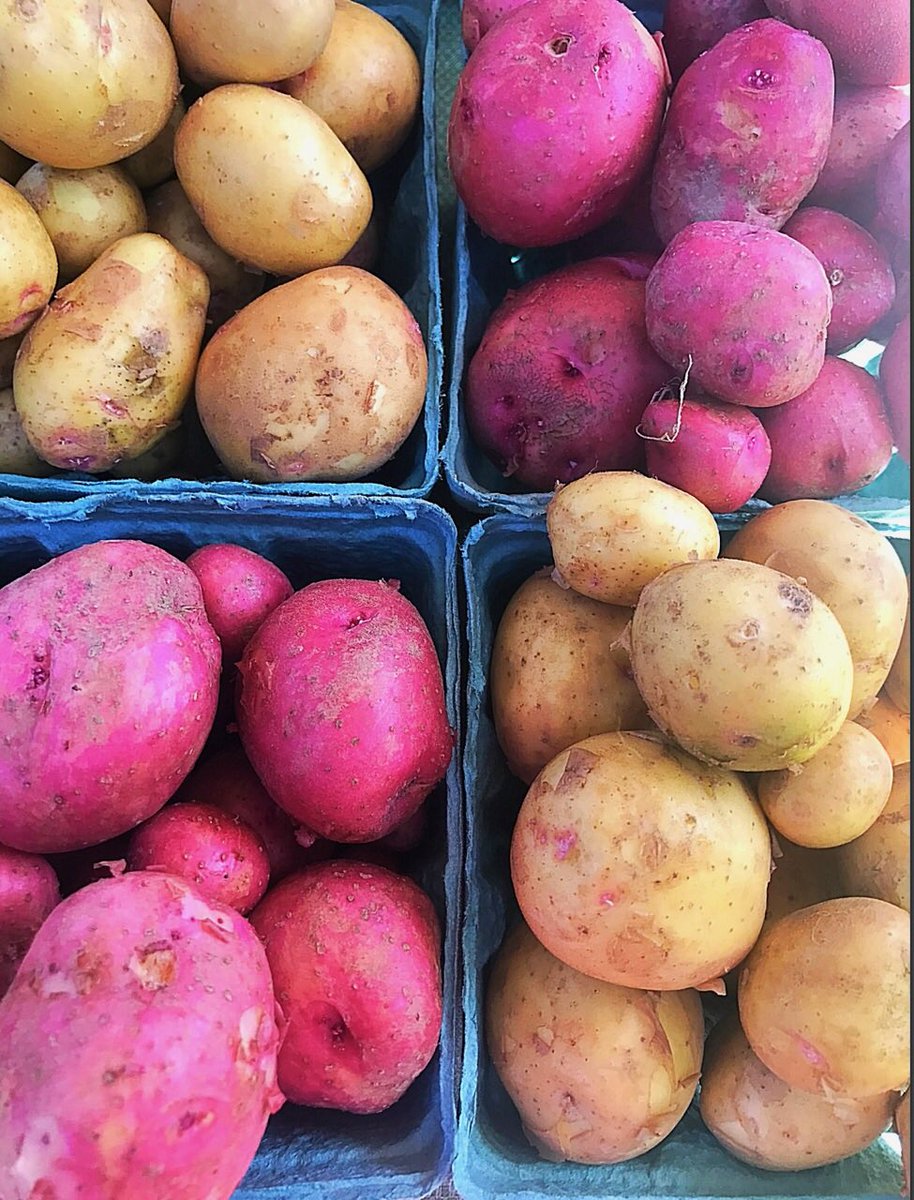 eku's tweet photo. Come out and support your local farmers at the Campus Farmer's Market in Alumni Coliseum parking lot till 1 o'clock #HealthyEKU #ShopLocal https://t.co/yjdADKYbHb