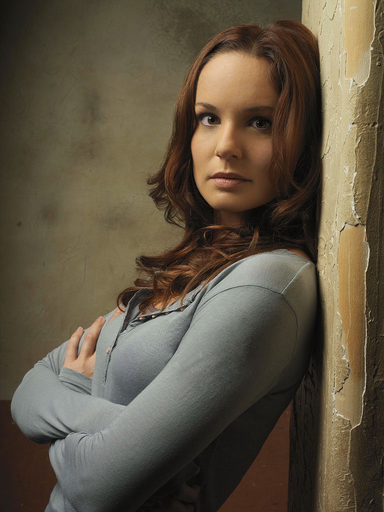 Happy Birthday Sarah Wayne Callies ! ;-)  