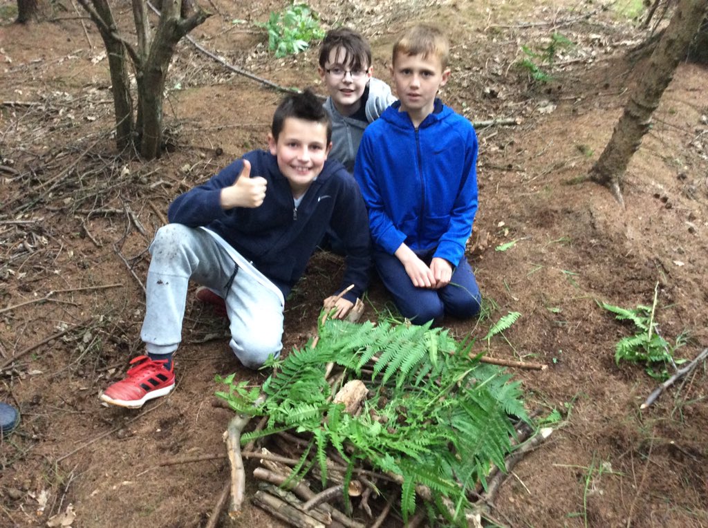 HillofBeathPS's tweet photo. P5/6 made bug hotels with natural resources that they found in the woods! #johnmuiraward #bughotels #tremendouswork https://t.co/MoA4YPJG35