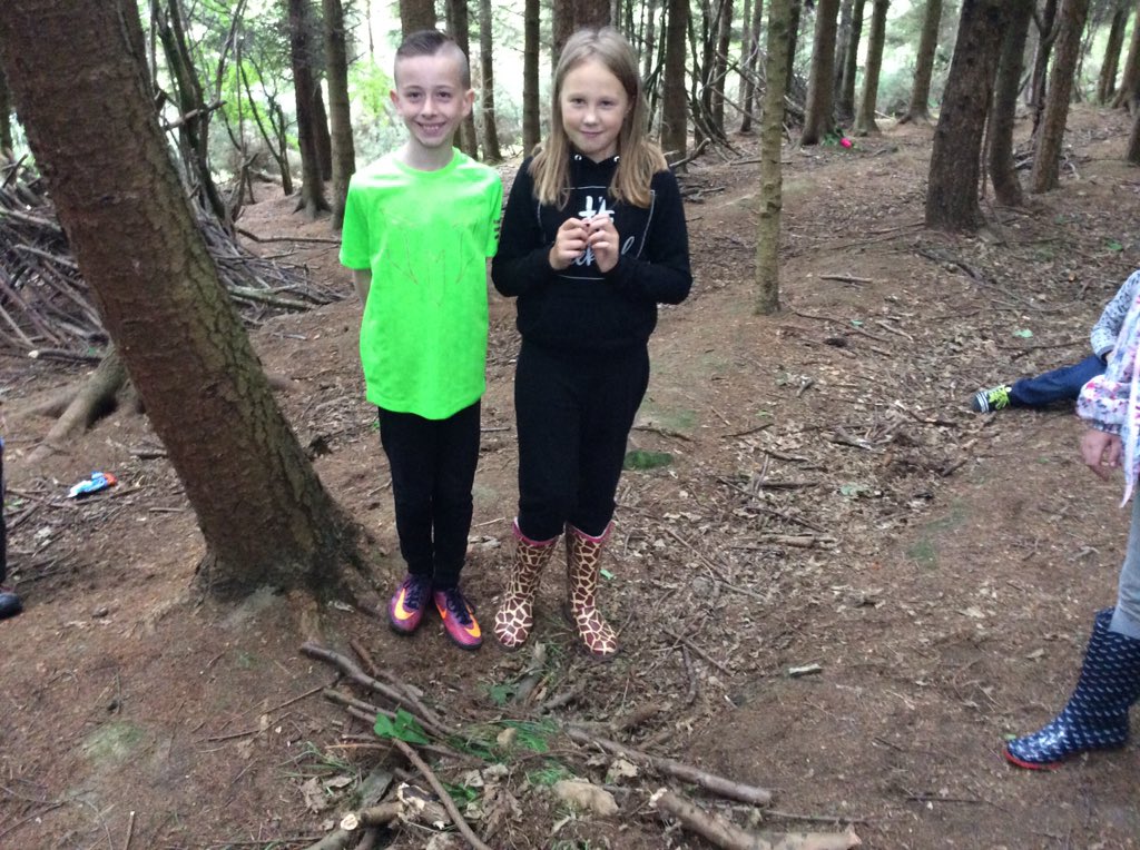 HillofBeathPS's tweet photo. P5/6 made bug hotels with natural resources that they found in the woods! #johnmuiraward #bughotels #tremendouswork https://t.co/MoA4YPJG35