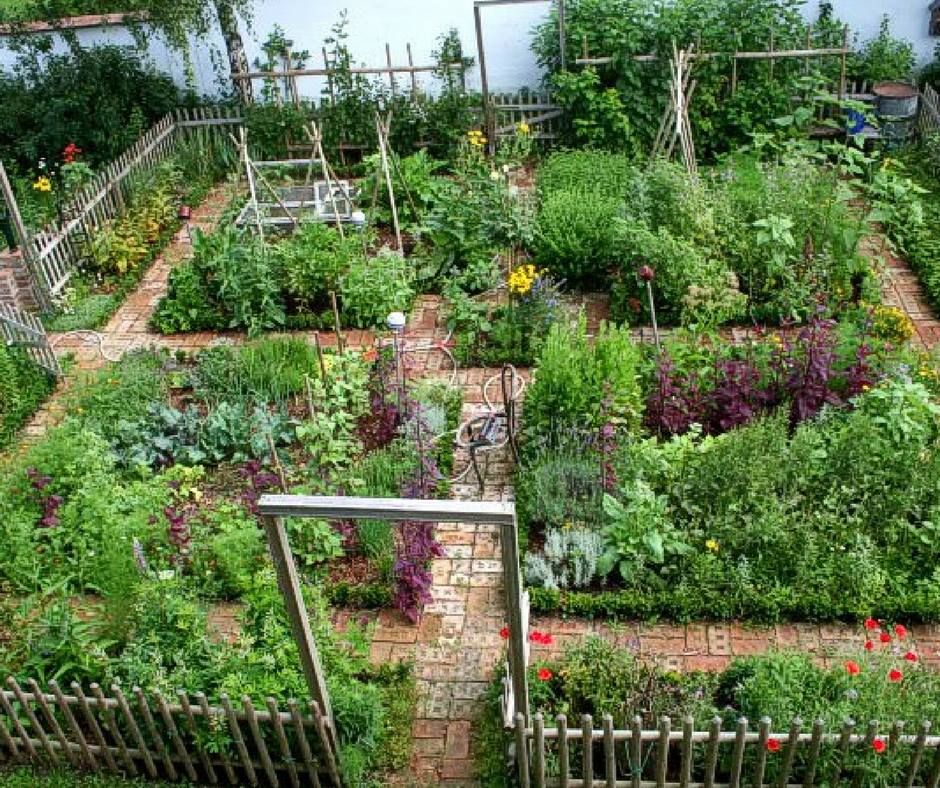 MesaSostenible's tweet image. INSTEAD OF GROWING LAWNS, #GROW #FOOD! Here are resources for you to learn how.
buff.ly/2qBspiT
