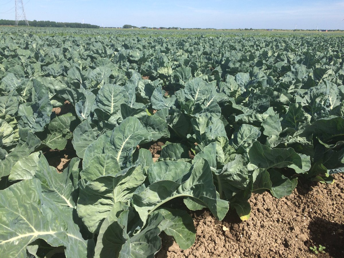 After day of reflection @nrclive back to reality &amp; making impact: #organic AG &amp; connecting within supply chain as key to smarter food system