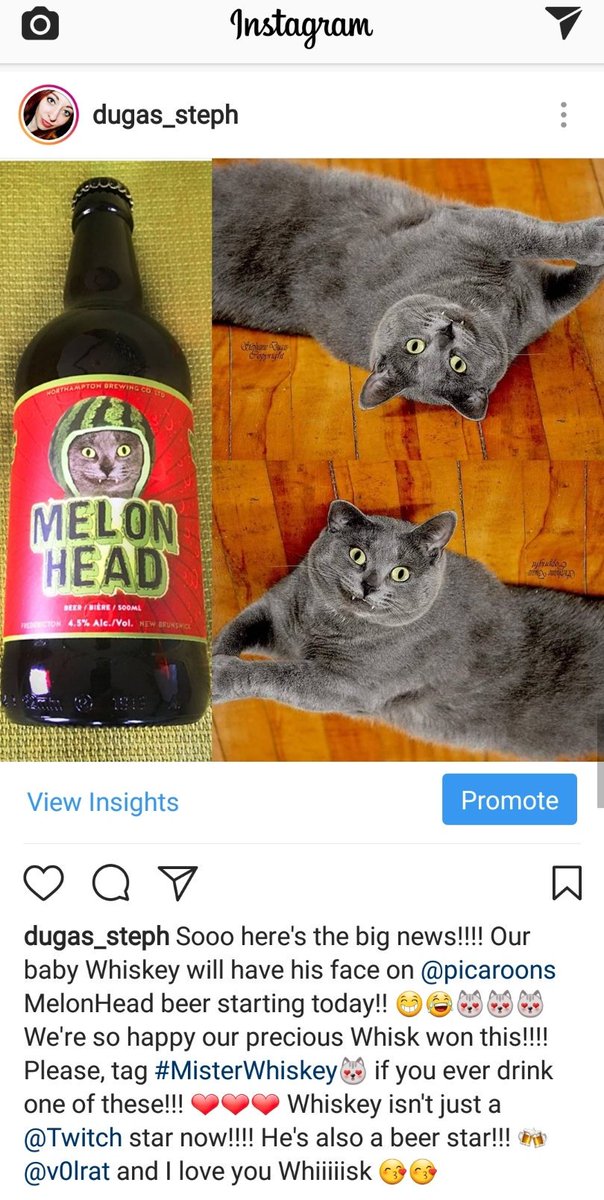 GUYSSSS!!! WHISKEY ISN'T JUST A TWITCH STAR NOW!!!! 😍😍😍Thanks to <a href="/picaroons/">Picaroons</a> his face is now on a beer! 😁