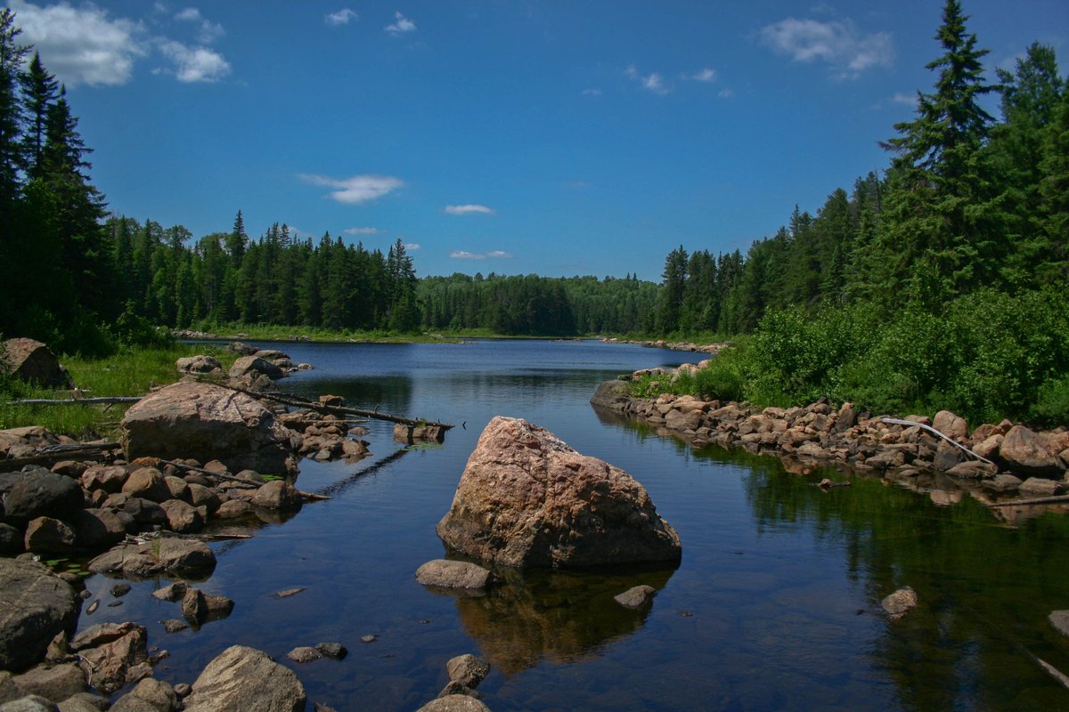 OntarioParksNE's tweet photo. #ThoughtfulThursday @OntarioParks: contemplating #nature makes you healthier, like this scene from #HalfwayLakePP https://t.co/rimUjvoUiS https://t.co/ucHJpFYK3V