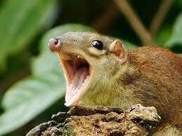 AssaultOnGrindhouse tweet media