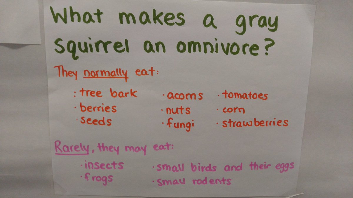 STEMforELEM's tweet image. 2 more editions to the Wonder Wall. #CuriousStudents