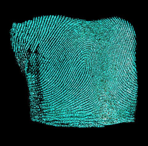 National Institute of Standards and Technology (@nist) on Twitter photo Do you have what it takes to be a #forensic #fingerprint examiner? Take our interactive quiz & find out! 
 nist.gov/news-events/ne… Do you have what it takes to be a #forensic #fingerprint examiner? Take our interactive quiz & find out! 
 nist.gov/news-events/ne…